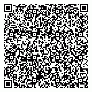 vCard 79397132125