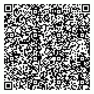vCard 79397132133
