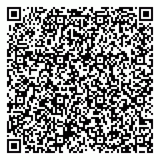 vCard 79397132211