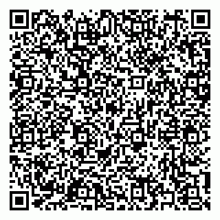 vCard 79397132524