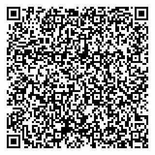 vCard 79397132571