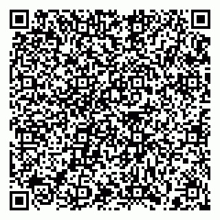 vCard 79397132573