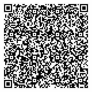 vCard 79397132635