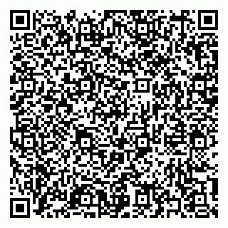 vCard 79397132702