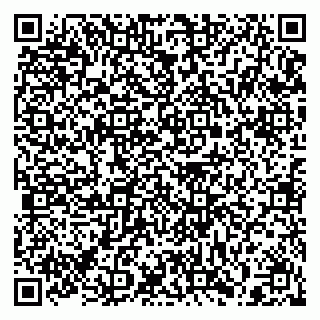 vCard 79397132703