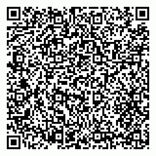 vCard 79397132713