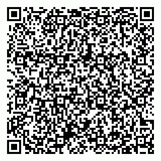 vCard 79397132739