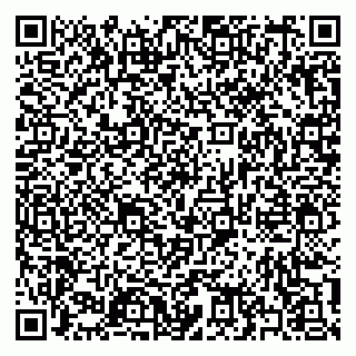 vCard 79397132785