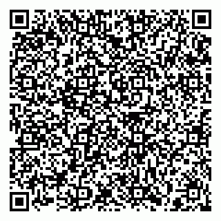 vCard 79397132831