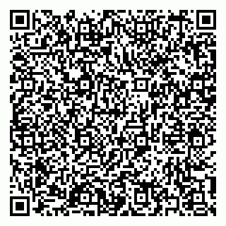 vCard 79397132900