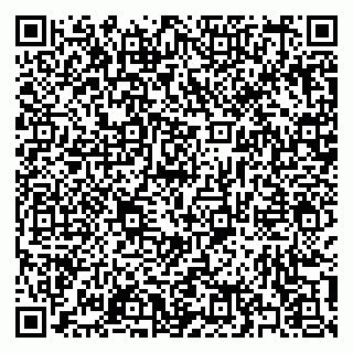 vCard 79397133009