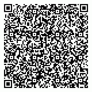 vCard 79397133019
