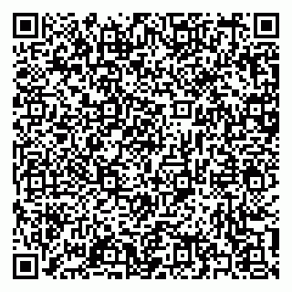 vCard 79397133020
