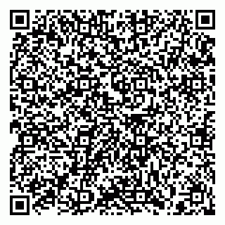 vCard 79397133029
