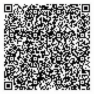 vCard 79397133030