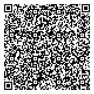 vCard 79397133039