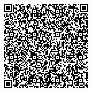 vCard 79397133084