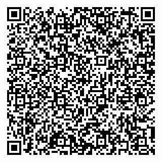 vCard 79397133088
