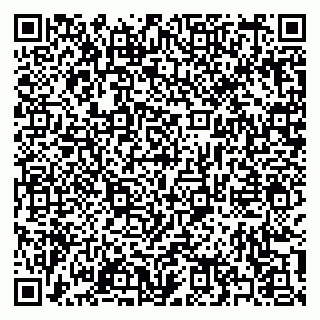 vCard 79397133089