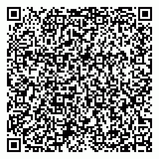 vCard 79397133093