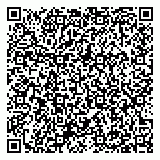 vCard 79397133099