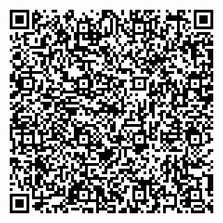 vCard 79397133100