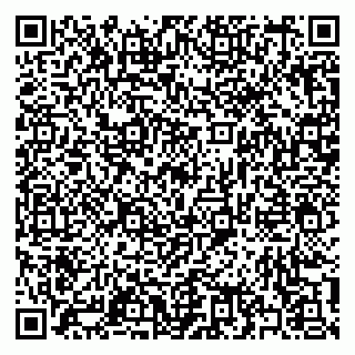 vCard 79397133105