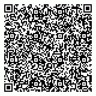 vCard 79397133107