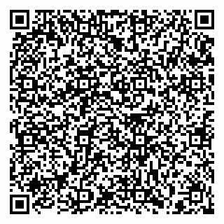 vCard 79397133121