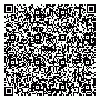 vCard 79397133127
