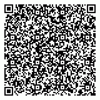 vCard 79397133133