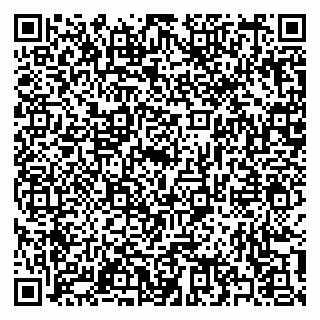 vCard 79397133151