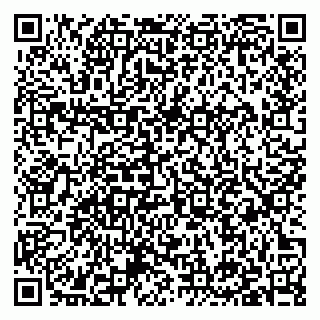 vCard 79397133153