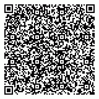 vCard 79397133171