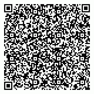 vCard 79397133173