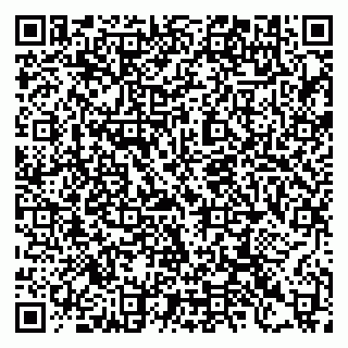 vCard 79397133201