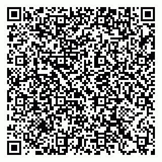 vCard 79397133203