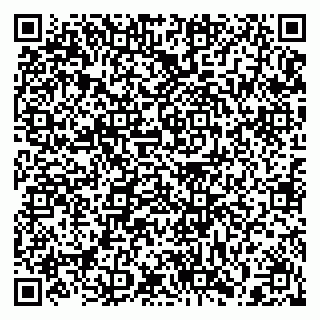 vCard 79397133204