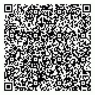 vCard 79397133205