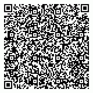 vCard 79397133207