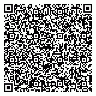 vCard 79397133209