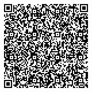 vCard 79397133217