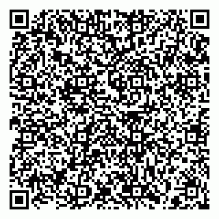 vCard 79397133229
