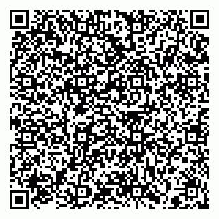 vCard 79397133233