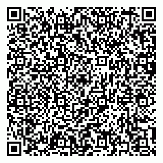 vCard 79397133235
