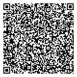 vCard 79397133249