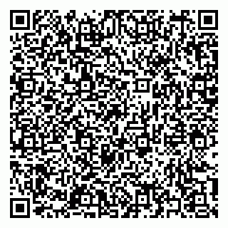 vCard 79397133253