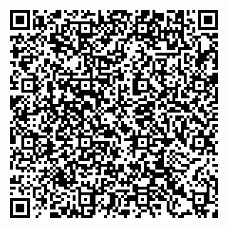 vCard 79397133265