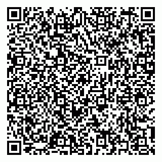 vCard 79397133269