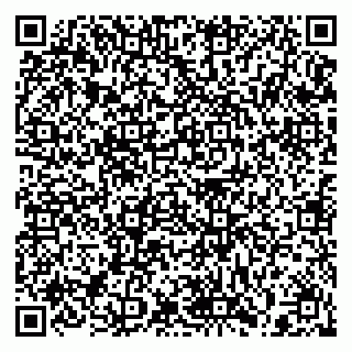 vCard 79397133273